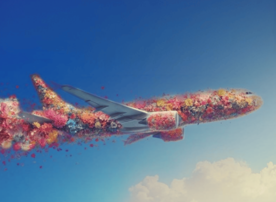 Photo d'un avion composé en fleurs
