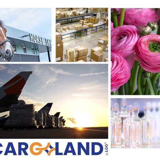 Types de fret cargoland