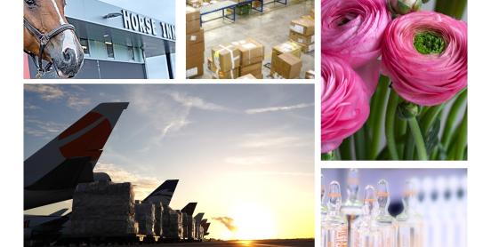 Types de fret cargoland